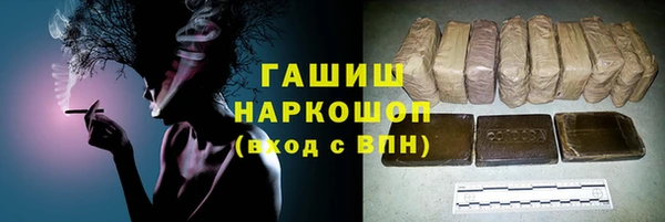 спиды Бородино