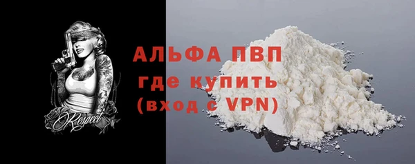 спиды Бородино