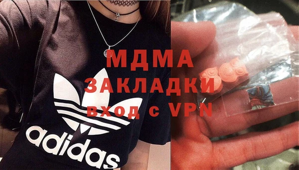 спиды Бородино