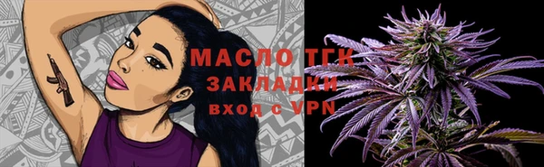 спиды Бородино